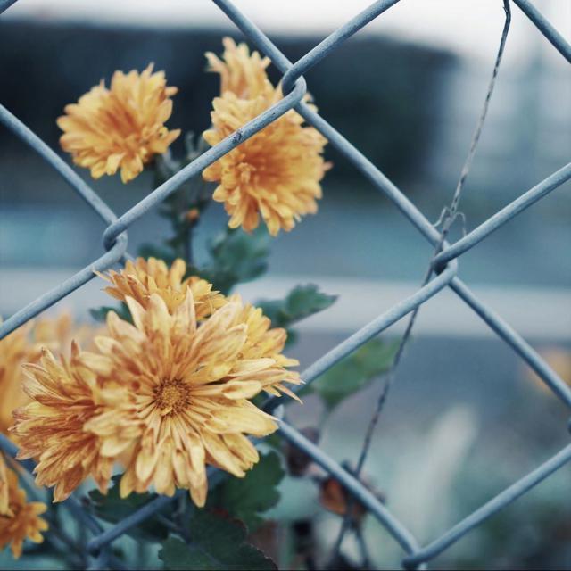 从不爱整理到收纳上瘾,断舍离收纳整理极简生活