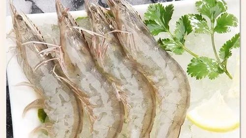 一周在线︱加快居家适老化改造;光明网评“身份证替代老年证”