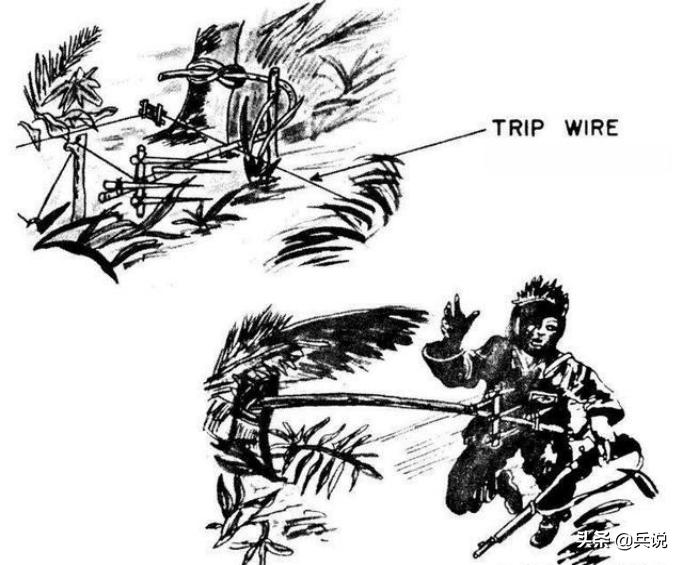 越军遍设竹尖陷阱,外加毒蛇,美军闻风丧胆,不敢收尸