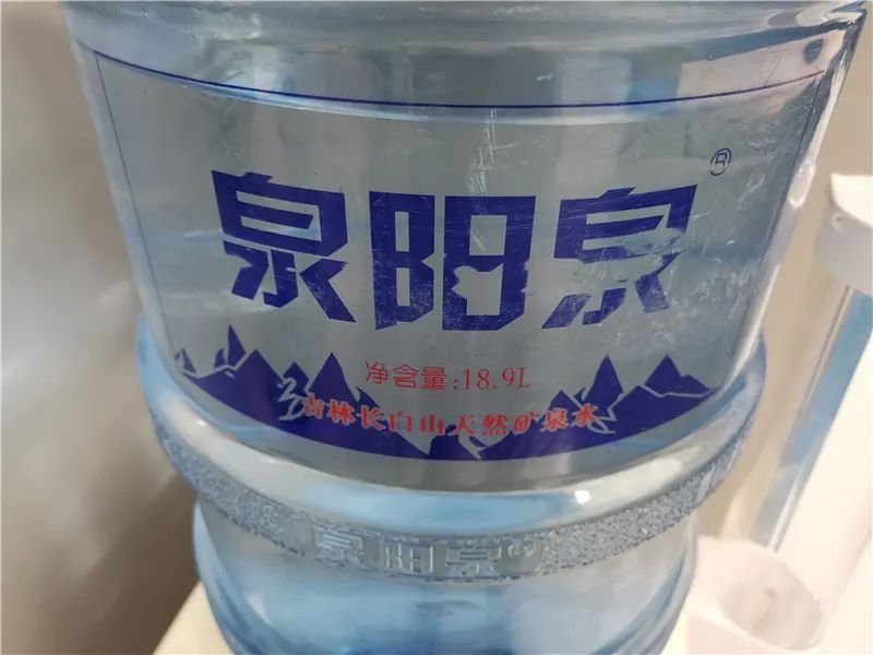 一任天真盈香易泡:冷泡,闷泡,淋泡轮番上阵怎么泡都好喝