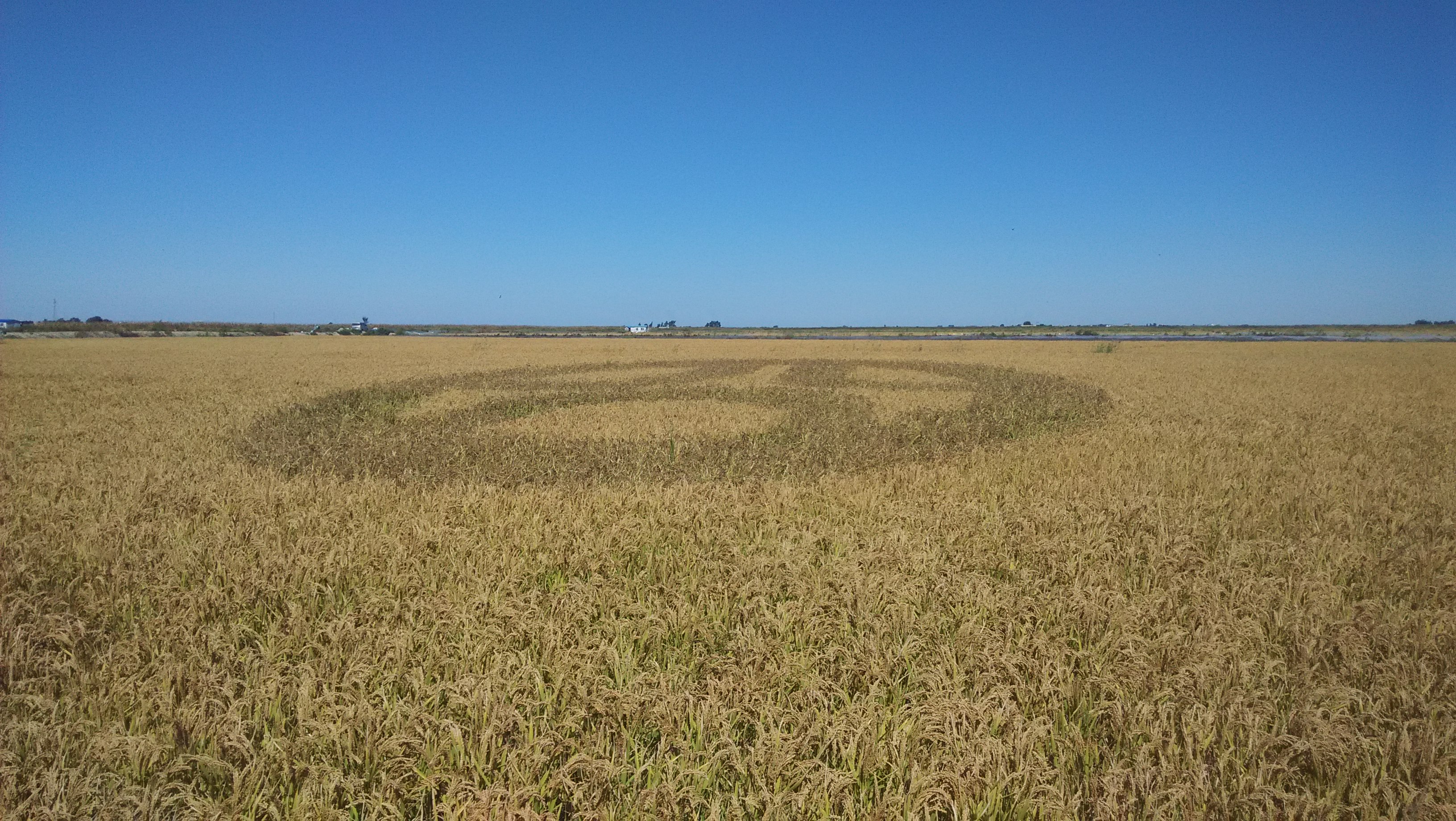 中国红海旅游攻略自由行,中国看大海去哪里旅游