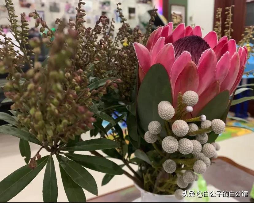 花香袭人抖音,花香袭人电影免费观看