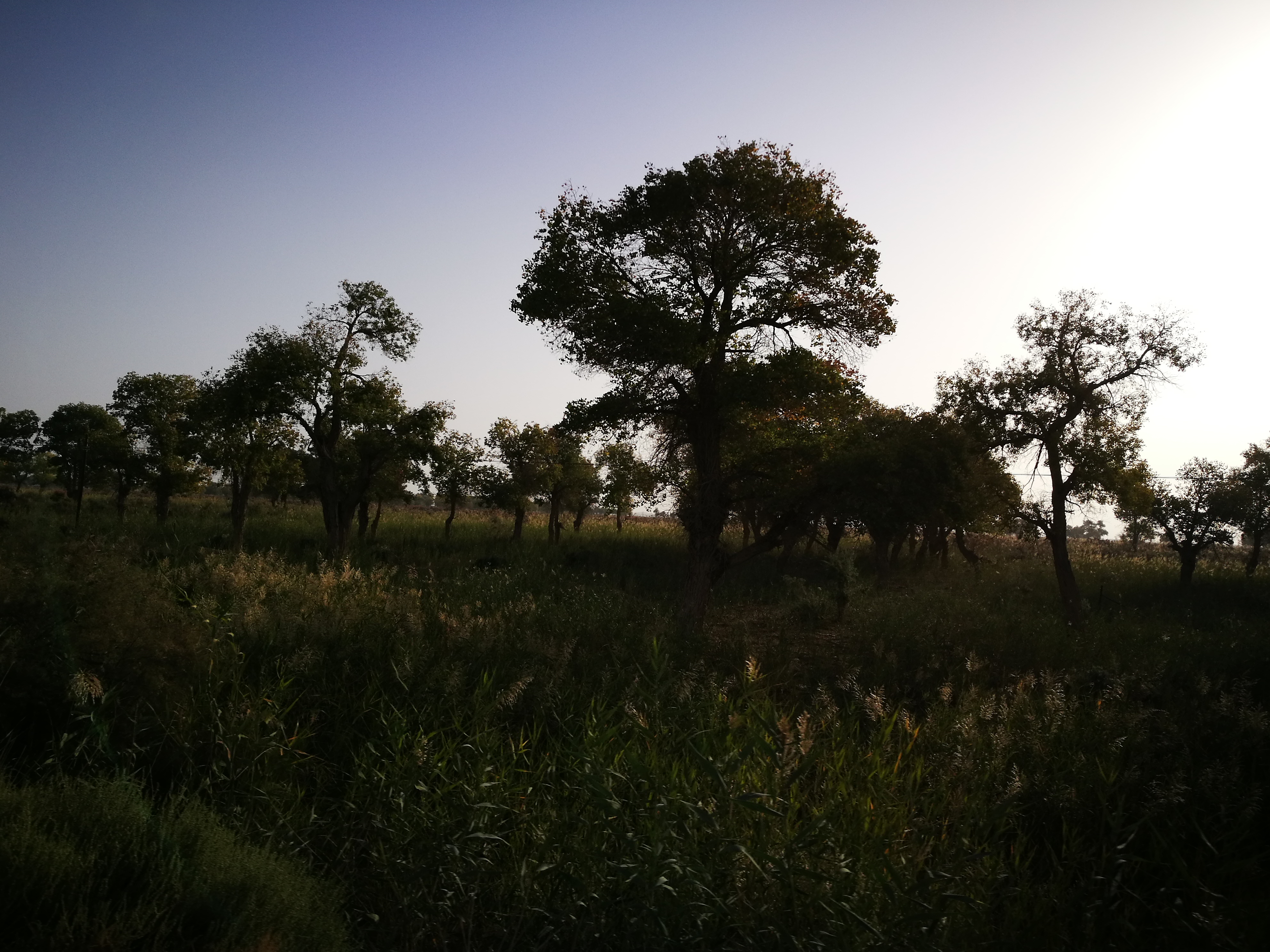 13000公里新手独驾*疆新**日记第23天——塔克拉玛干沙漠陷车自救