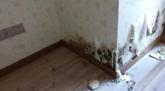 房屋漏水该找谁解决,房屋漏水应该找哪个部门解决