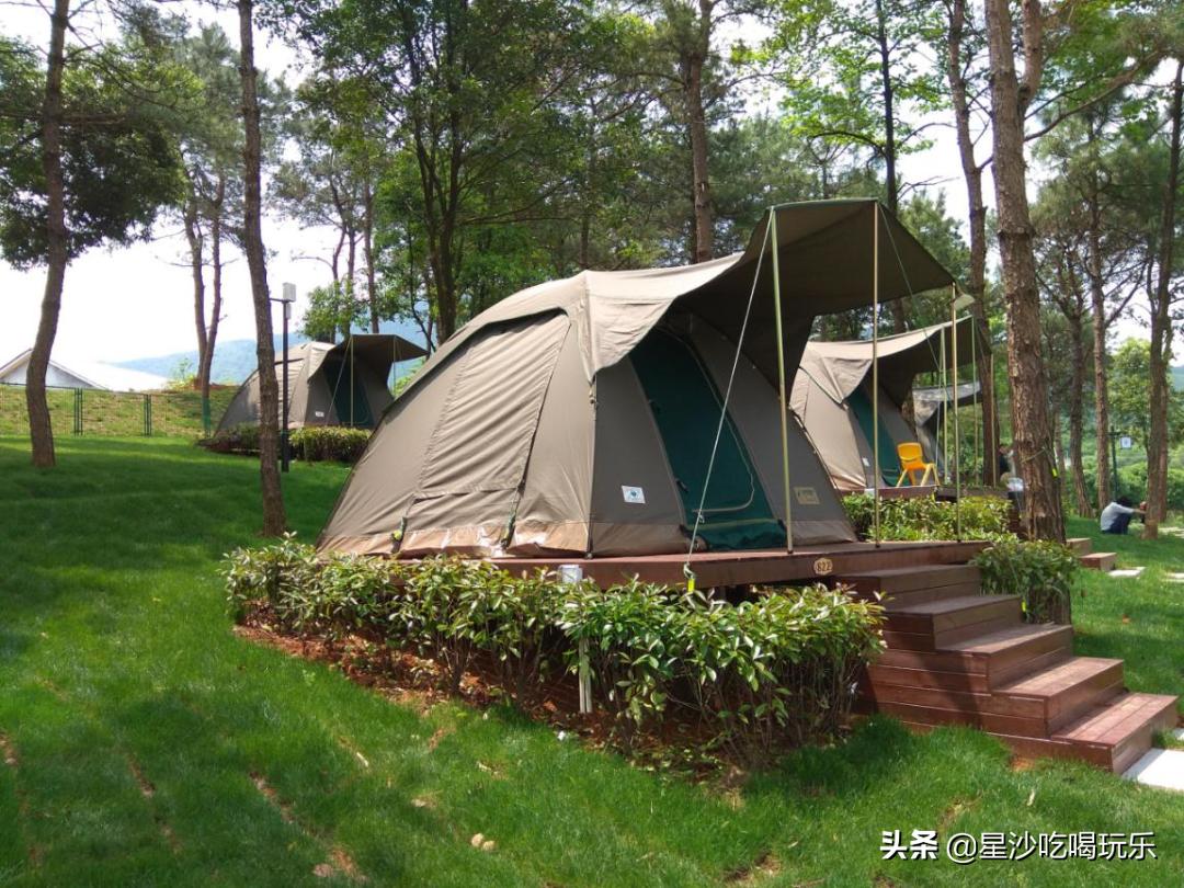 长沙小水果之乡,湖南长沙宝藏打卡地