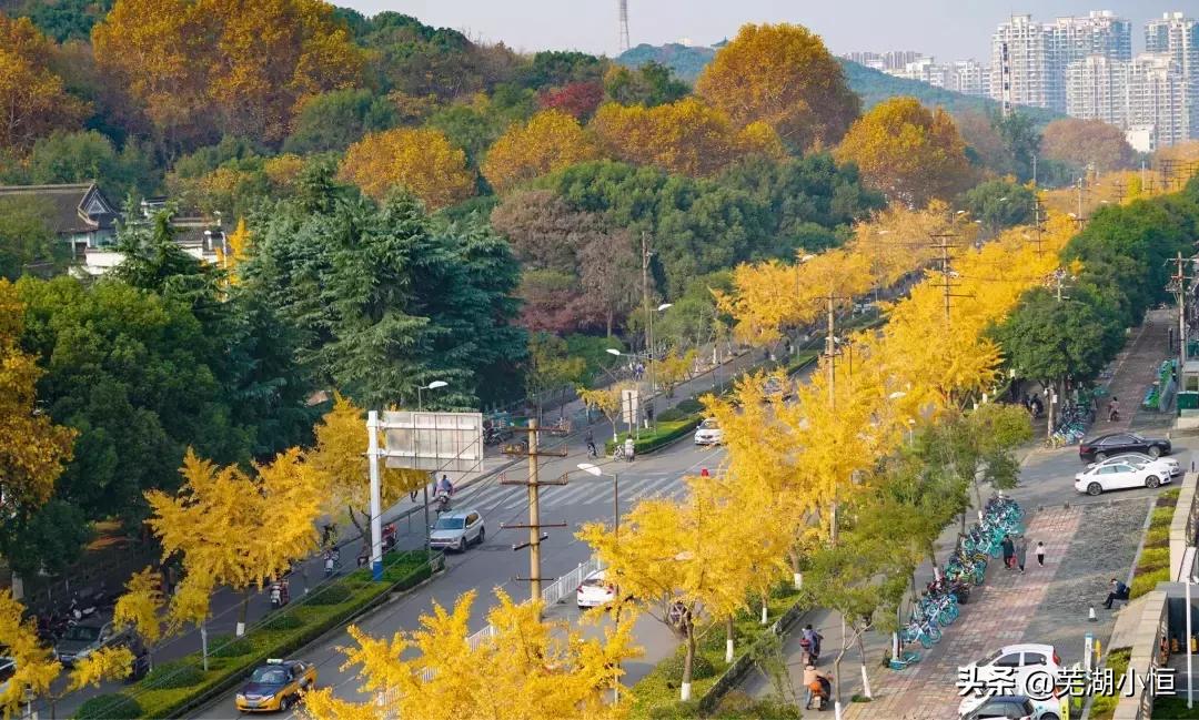 芜湖吃喝玩乐省钱攻略大全,芜湖吃喝玩乐一日路线攻略