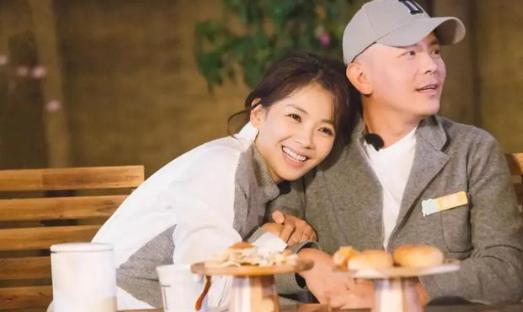 女明星刘涛的感情经历,刘涛国民女神完整版