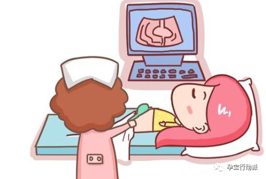 孕期记录第6周,孕期周刊第14周