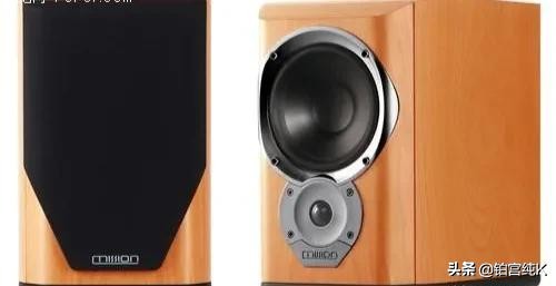 公认十大最好音箱品牌,各大品牌音箱测评