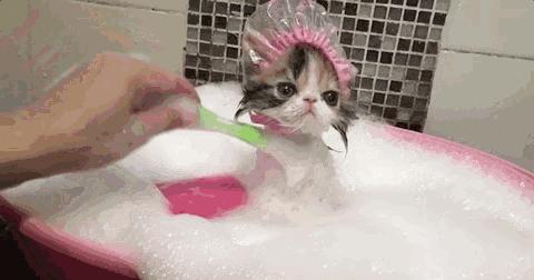 得了湿疹,得了湿疹身上的伤就没好过