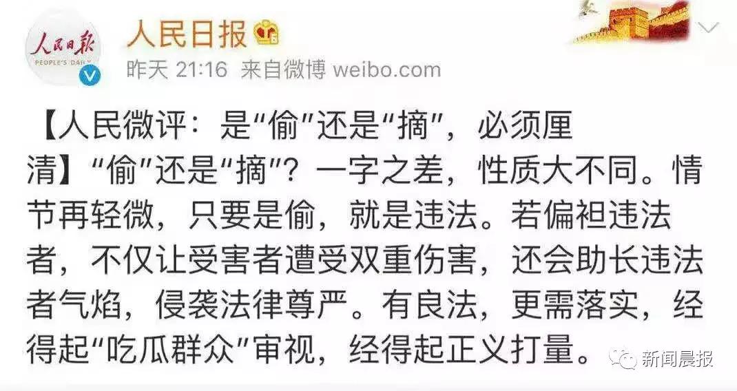 瓜农被偷瓜赔300元,瓜农摘瓜女子赔偿300元