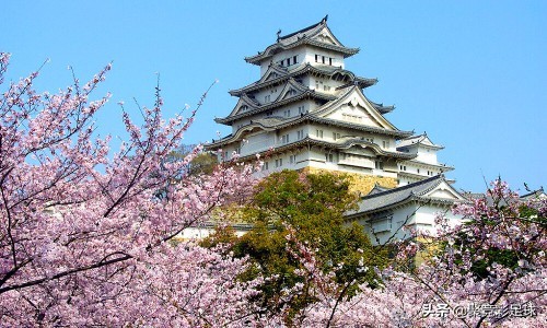 日联杯fc横滨对名古屋鲸鱼阵容,日联杯名古屋鲸八