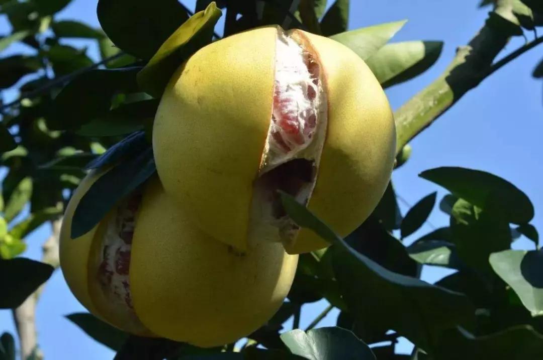 漳州第一大县:比南靖、漳浦还大,相当于2个龙海市!