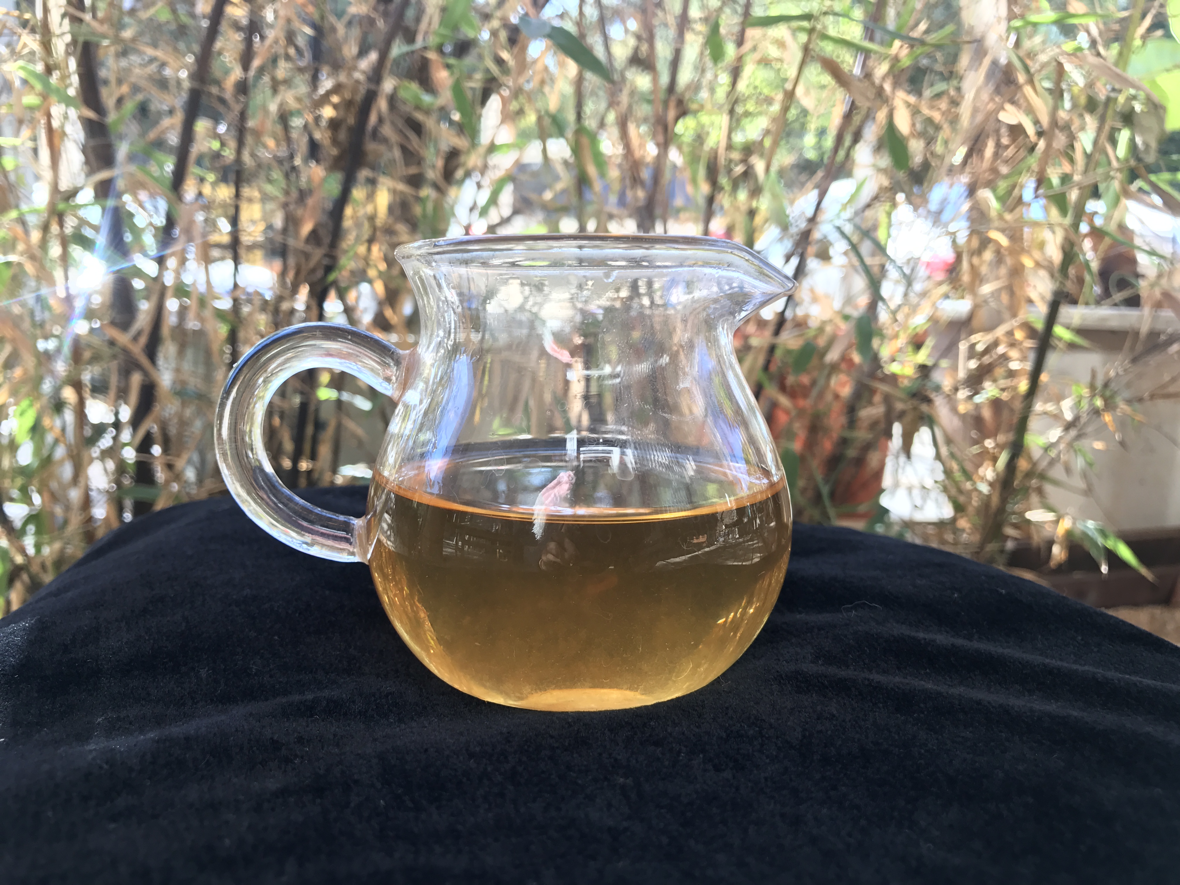 老徐鉴茶第二十一期,老徐鉴茶316期视频