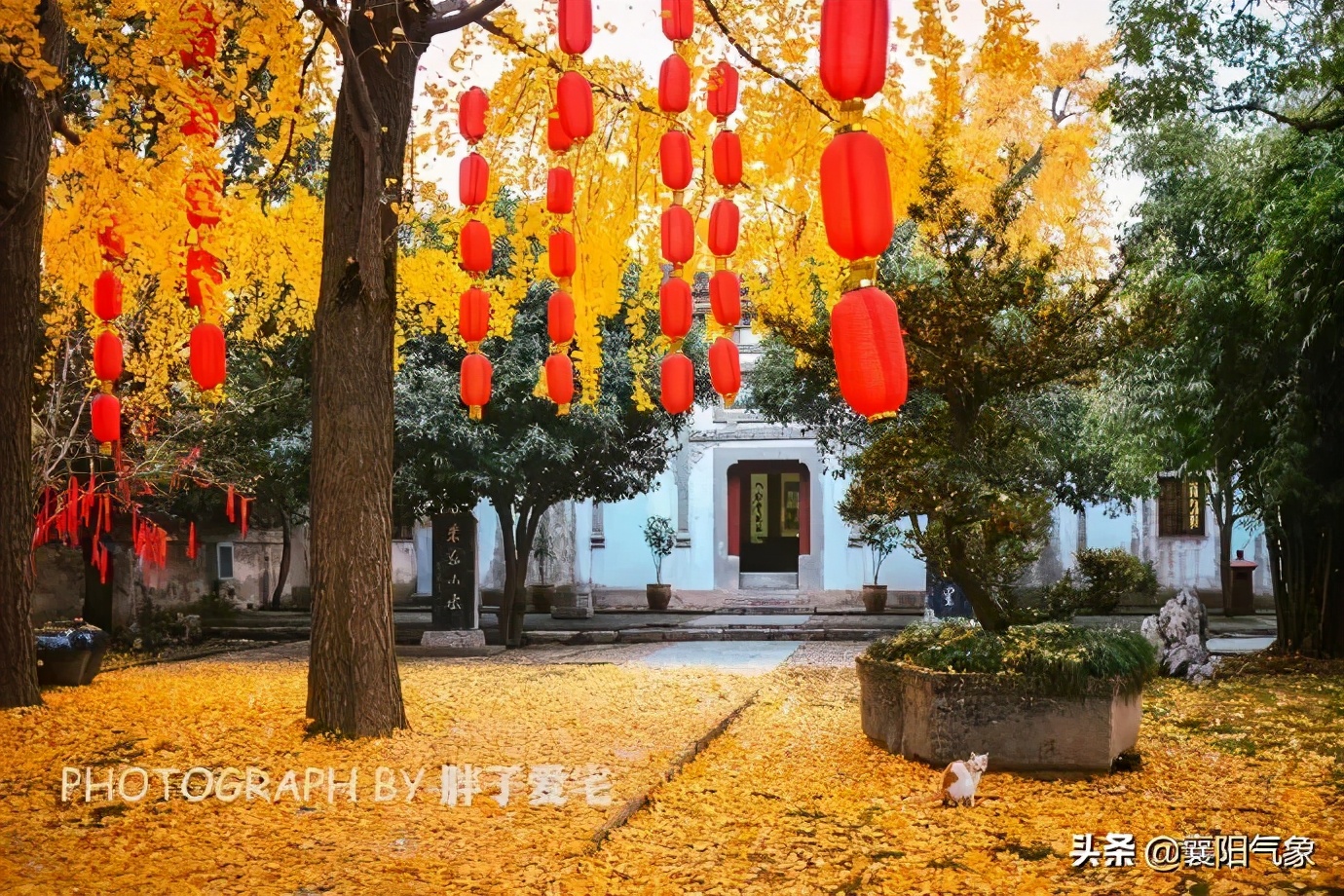 天气维持多云,山东最高气温多云