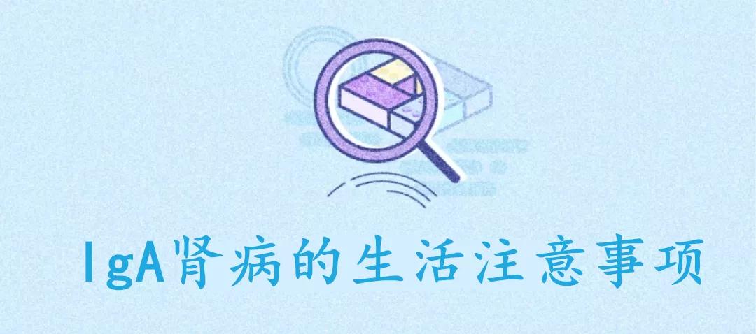 关于iga肾病的科普文章,iga肾病知识及防治科普教育讲座