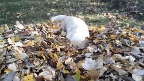 财务人员如何判断是否是假账,如何判断公司财务数据是否真实