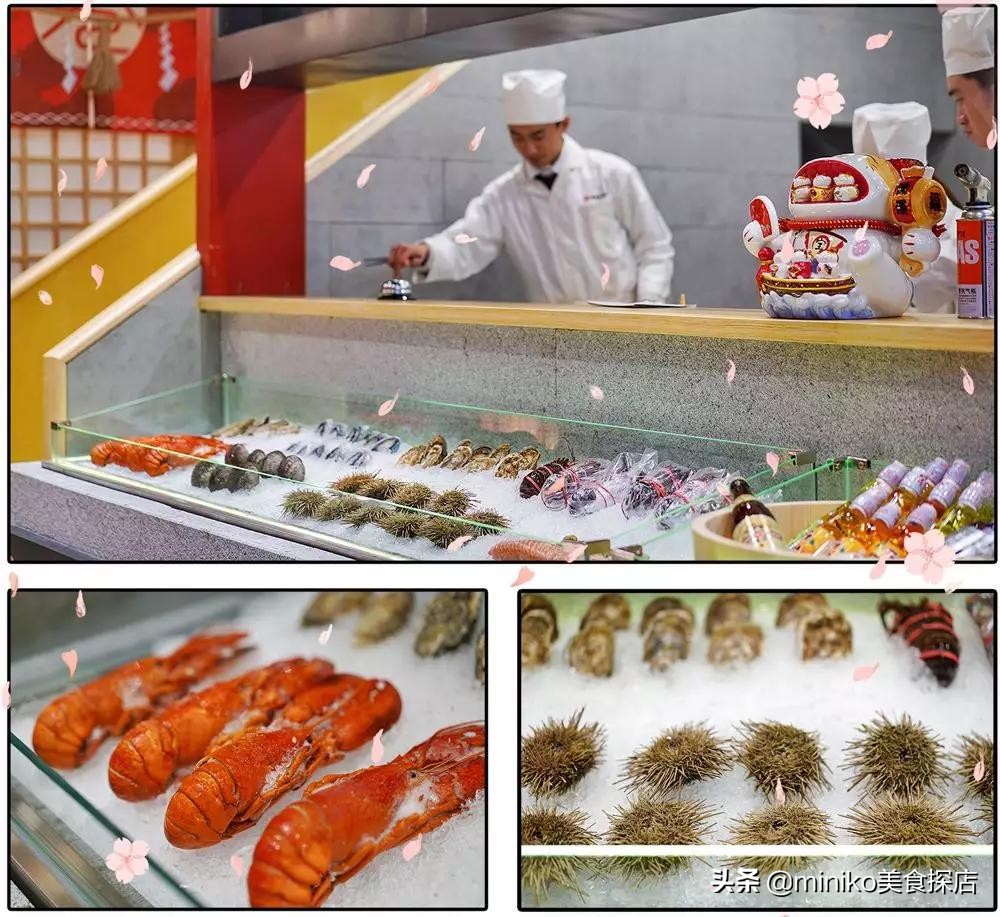 目前为止吃过最好吃的日料店,你们都吃过的美食