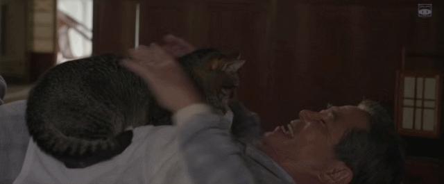 拯救不开心之类电影推荐,十部让人内心平静的电影