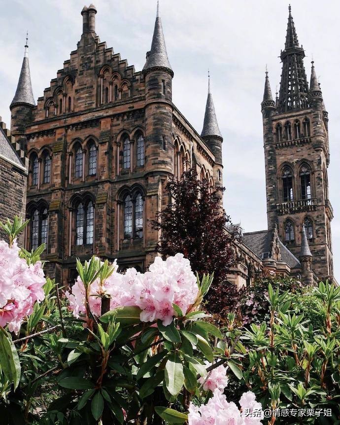 栗子姐情感专家咨询热线,栗子姐情感问答07