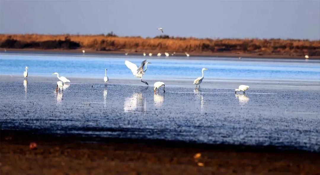 外地人眼中的丰县VS丰县人眼中的丰县