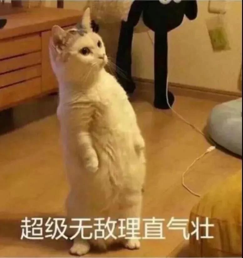 去哪里找程序员男朋友,找个程序员男朋友好不好