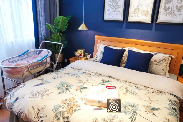 喜之家,喜之家视频