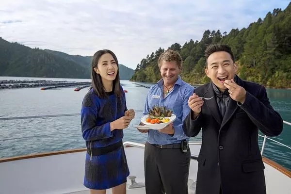 肥胖摆拍不专业，被编剧六六*制抵**，黄磊为何坚定地做“黄小厨”？