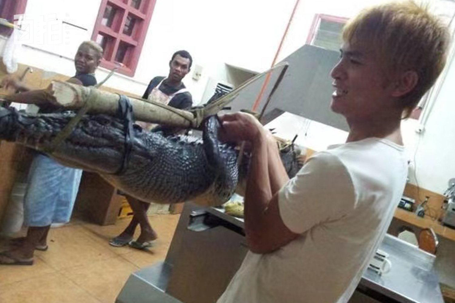 我，19岁到岛国打工，24岁赊了100万的货开店，2年还清