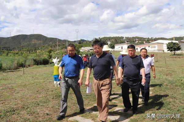 大理新闻快报,大理市新闻今日头条