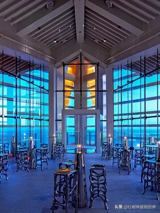 逃离北方的寒冷,逃离北方森林