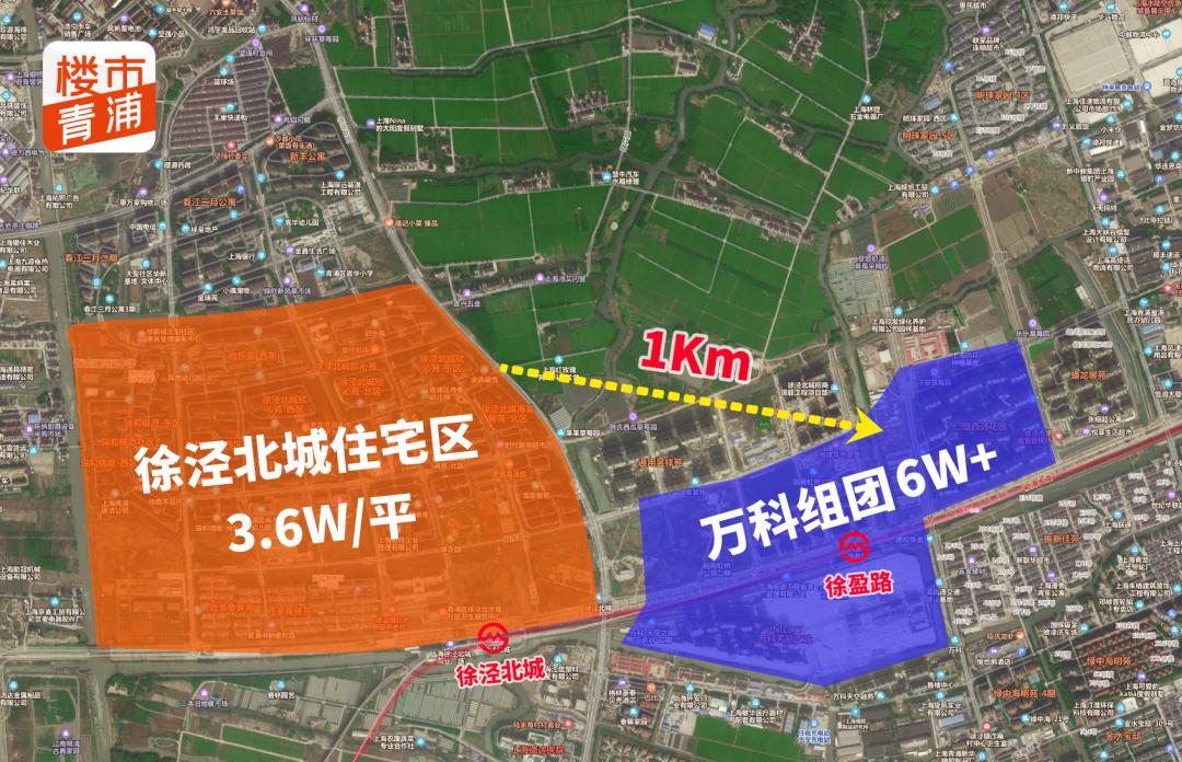 徐泾东还有潜力吗,徐泾未来发展