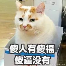 不能买的网红垃圾产品,不要买的网红垃圾东西