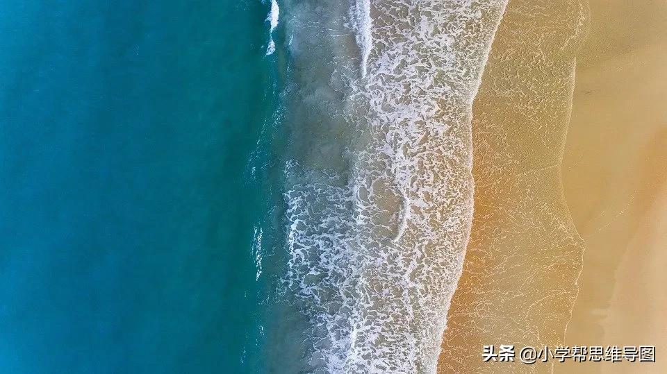 我最喜欢的一篇文章600字作文,我最喜欢的习作怎么写