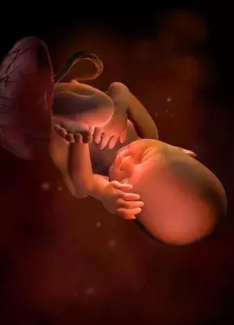 孕期知识六：妊娠第9-10个月