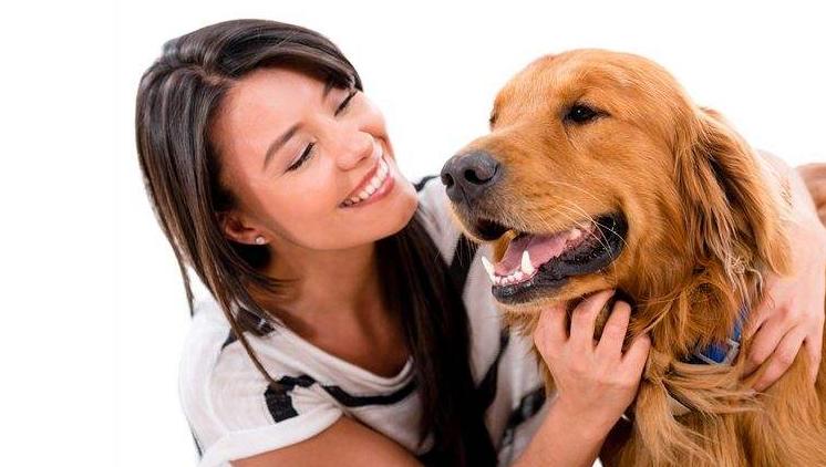 如何给狗狗按摩让狗狗感觉舒服,怎么按摩狗狗让狗狗喜欢你