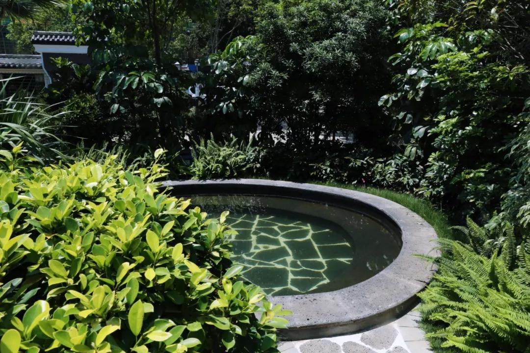 拉开夏天的序幕,拉开暑期序幕