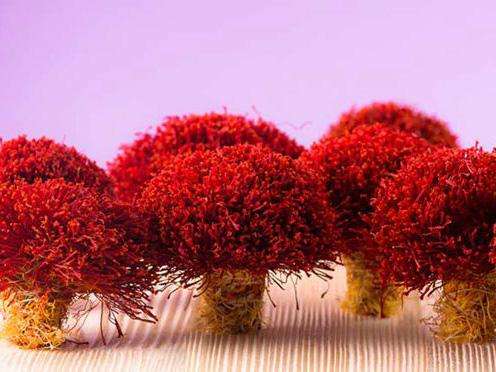 伊朗藏红花等级与价格,一级伊朗藏红花多少钱一克