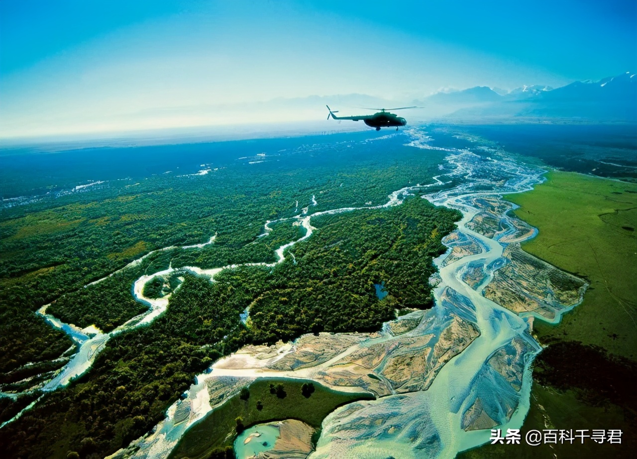 最大内陆国计划让里海虎“秽土转生”，莱昂纳多曾发文支持