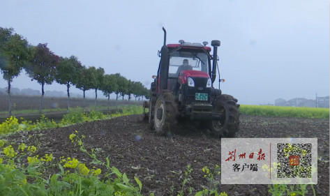 惊蛰忙种麦谷物种大田,惊蛰节气春耕忙完整版