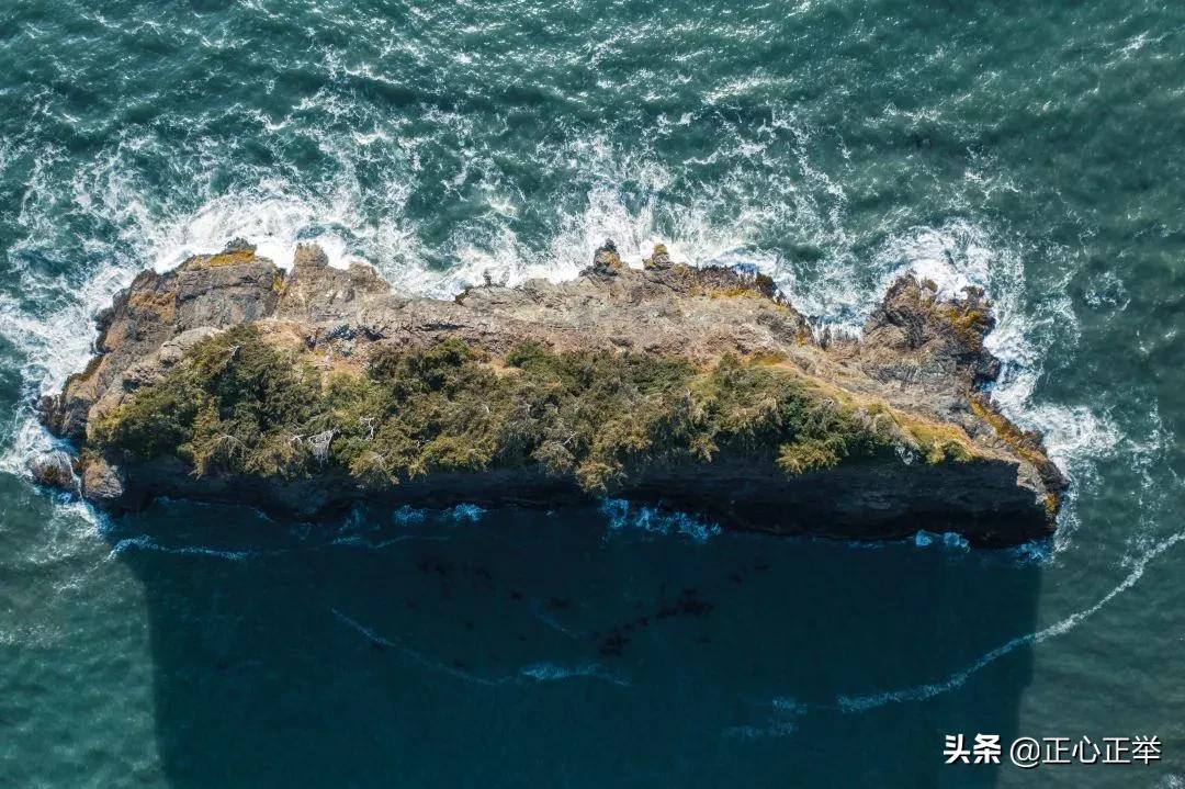 艺术的价值和意义英语,艺术的价值有审美价值吗