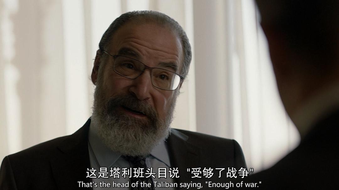 国土安全电视剧背后的真实事件,国土安全免费完整版电视剧