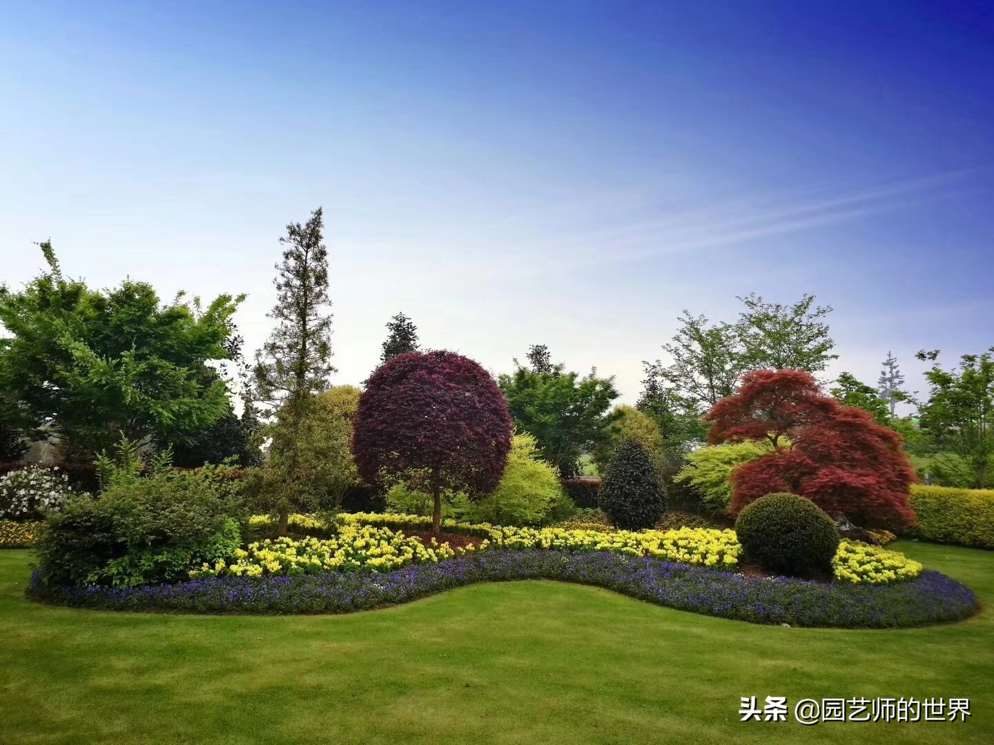 城市蔬菜园景观设计,蔬菜花园造型