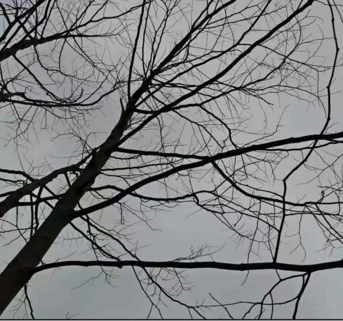 唱片展东莞,东莞唱片音乐市集