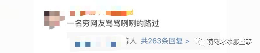 最壕狗窝!主人花3万5为爱宠造了个别墅,泳池和阳光房全都有