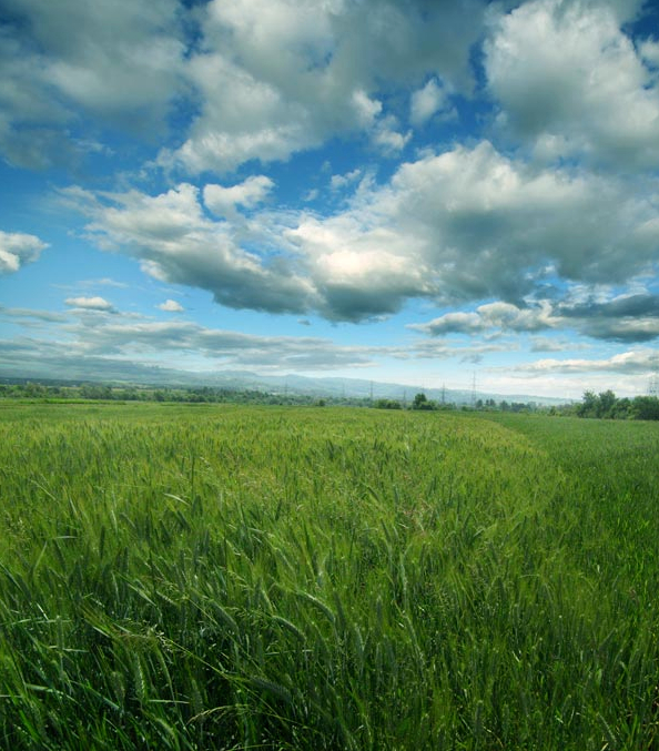 ps教程图层混合式模式讲解,ps图层混合模式的用法教程