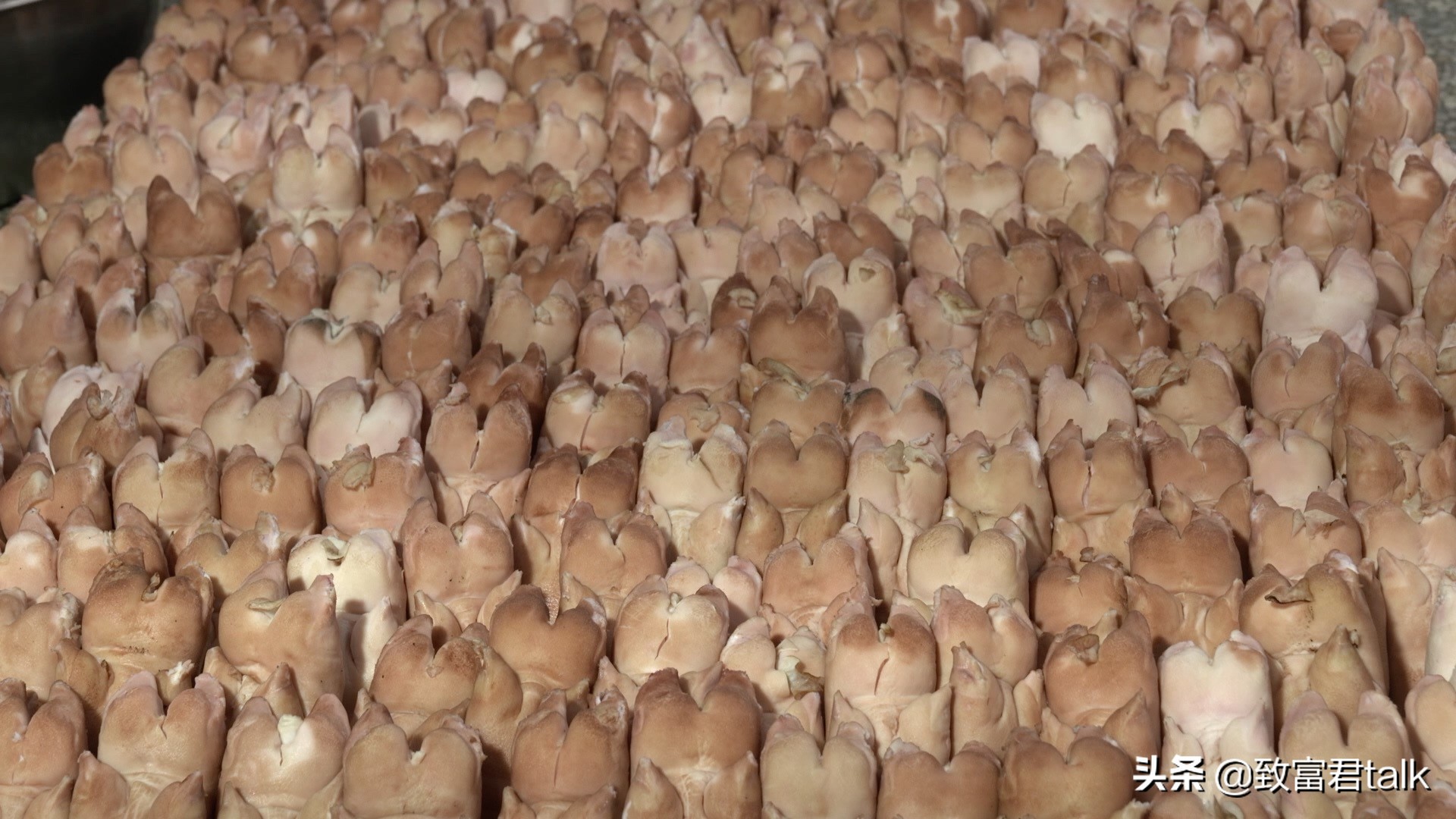 哈尔滨美食小店被南方人攻占,哈尔滨被南方人攻占的美食