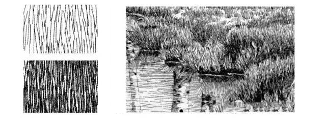 如何学速写钢笔画,学钢笔画视频全集