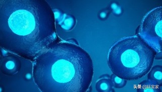 男人也有孕反应腰酸吗,男人也怀孩子