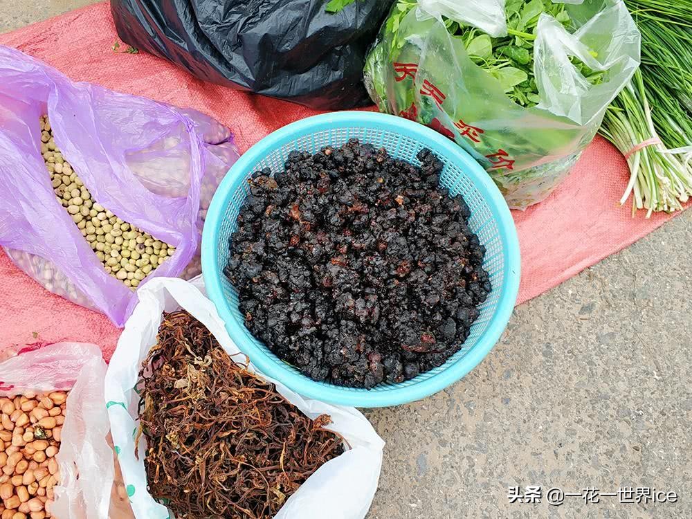 桃树上这种“煤渣”,过去农村娃当糖吃,如今30元一斤成稀罕货